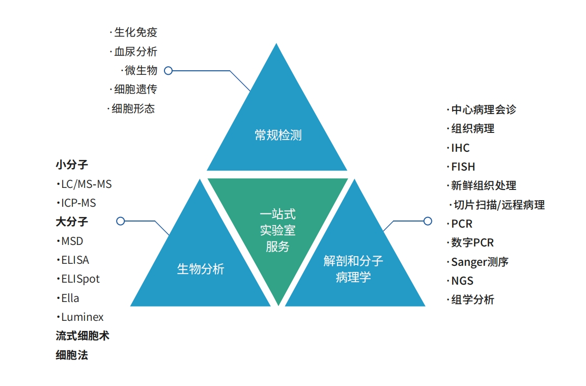 微信截图_20240521164955.png